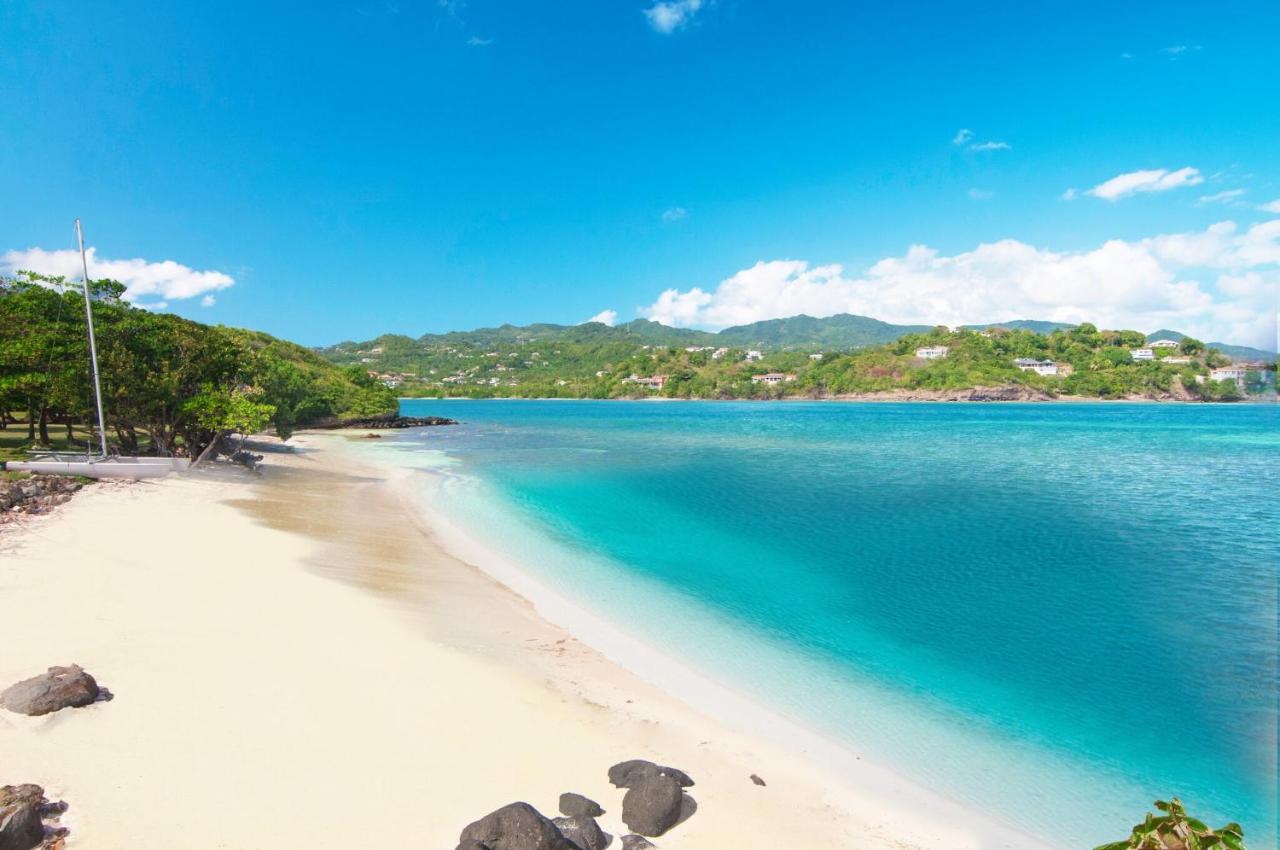 473 Grenada Boutique Resort St. George's Exteriér fotografie