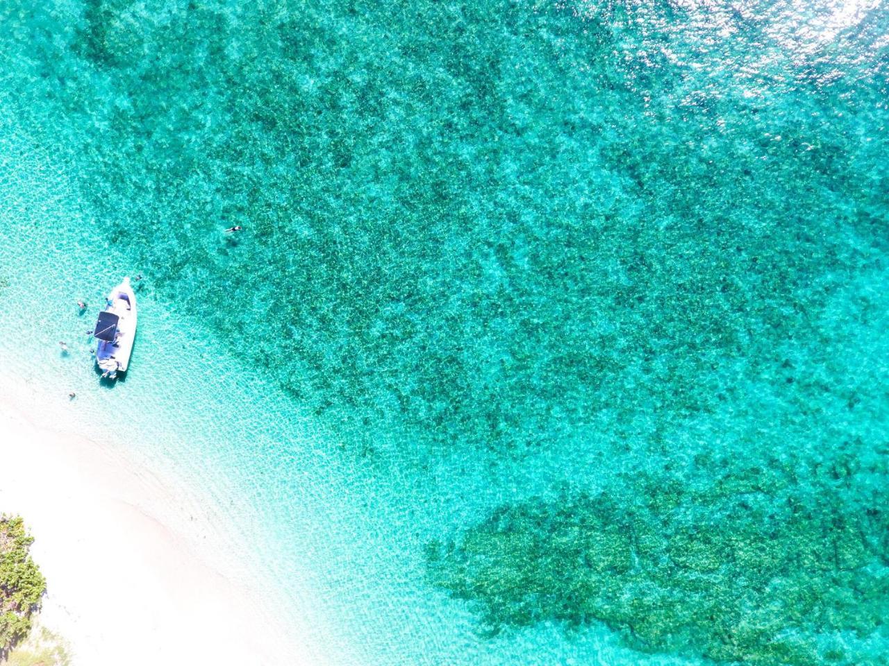 473 Grenada Boutique Resort St. George's Exteriér fotografie