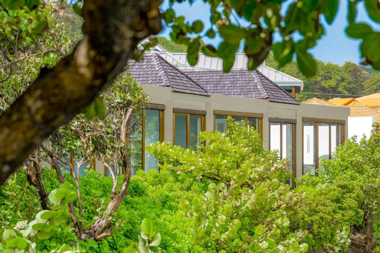 473 Grenada Boutique Resort St. George's Exteriér fotografie